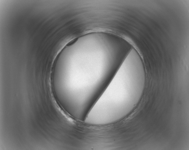 X0000064760906200602101024