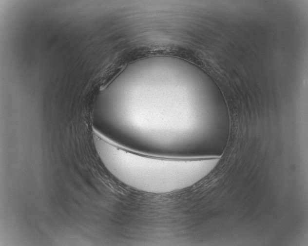 X0000064760916200602101023