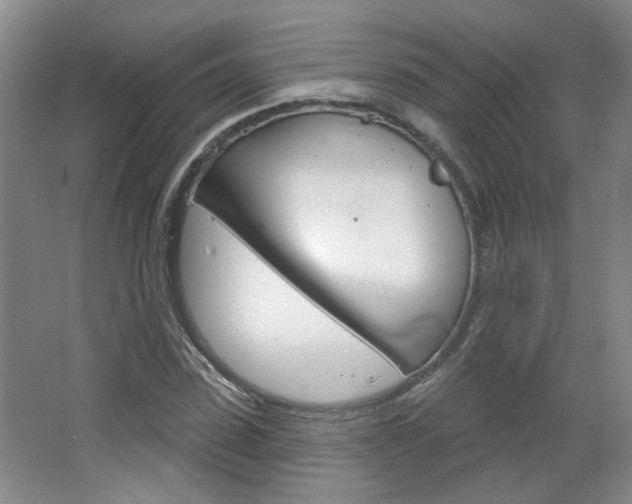 X0000064760923200602101024