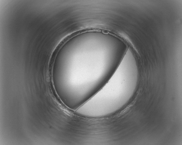 X0000064760924200602101024