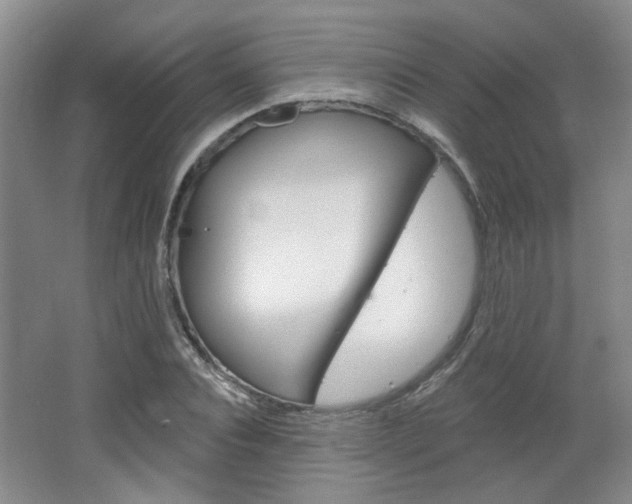 X0000064760928200602101024