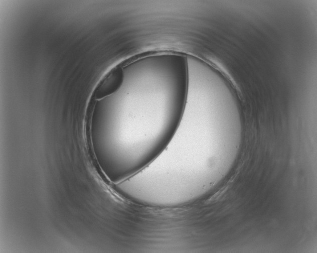 X0000064760932200602101024