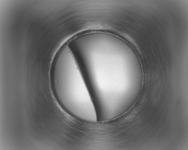X0000064760935200602101024