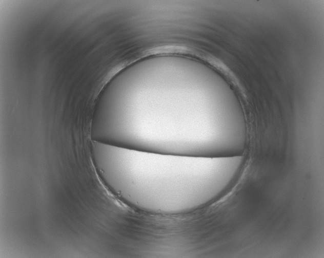 X0000064760945200602101024