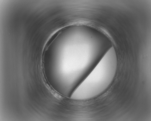 X0000064760948200602101024
