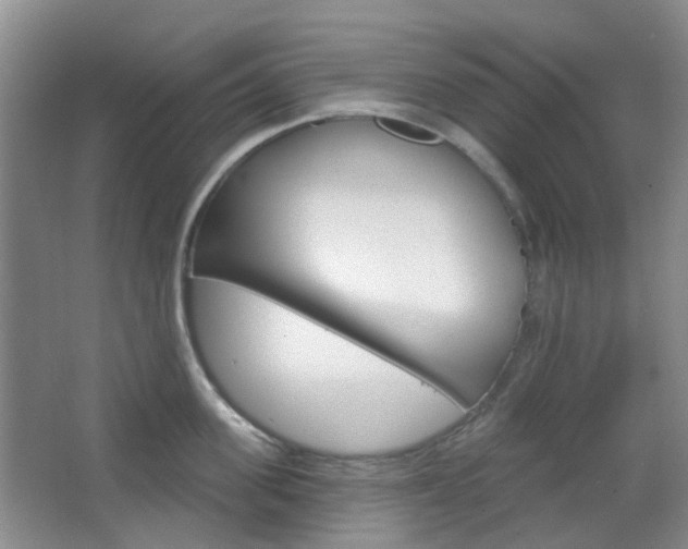 X0000064760955200602101024