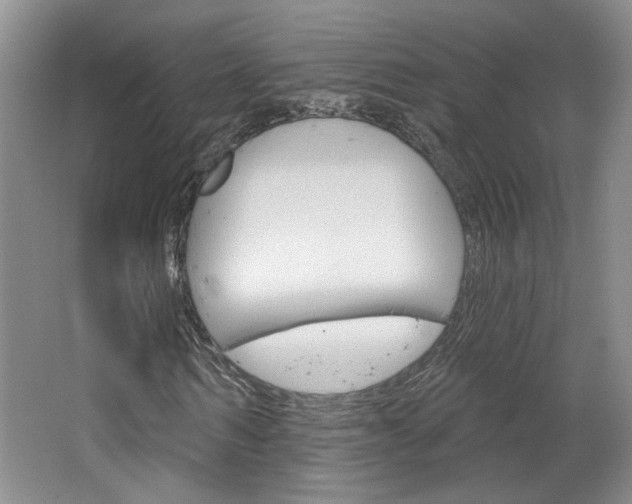 X0000064760962200602101023