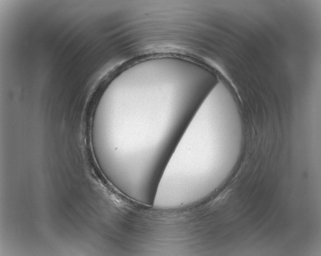 X0000064760979200602101023