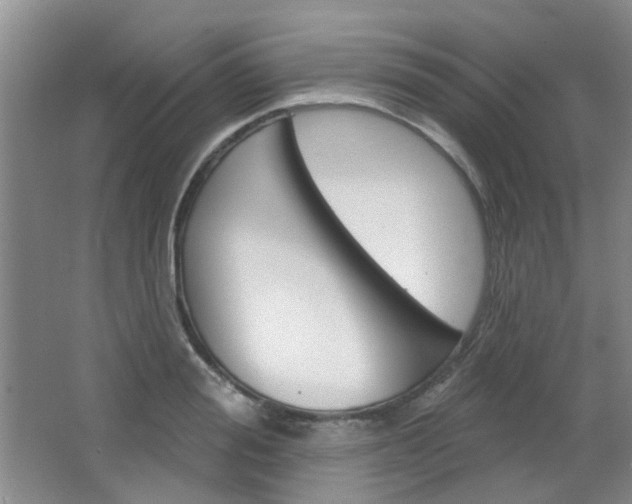 X0000064760988200602101023