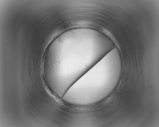 X0000064760994200602101023