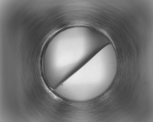 X0000064760995200602101023