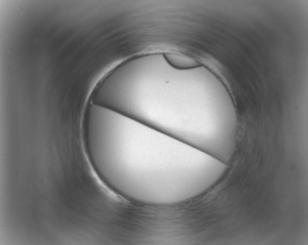 X0000064761003200602101023