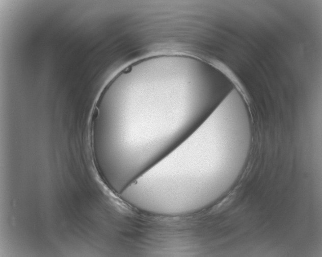 X0000064761004200602101023