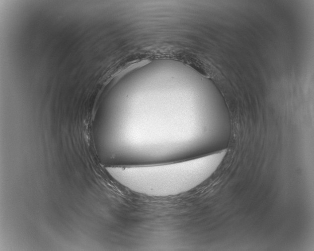 X0000064761010200602101022