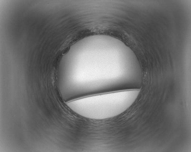 X0000064761012200602101022