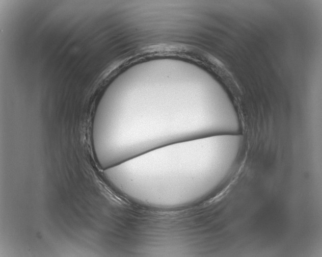 X0000064761017200602101022
