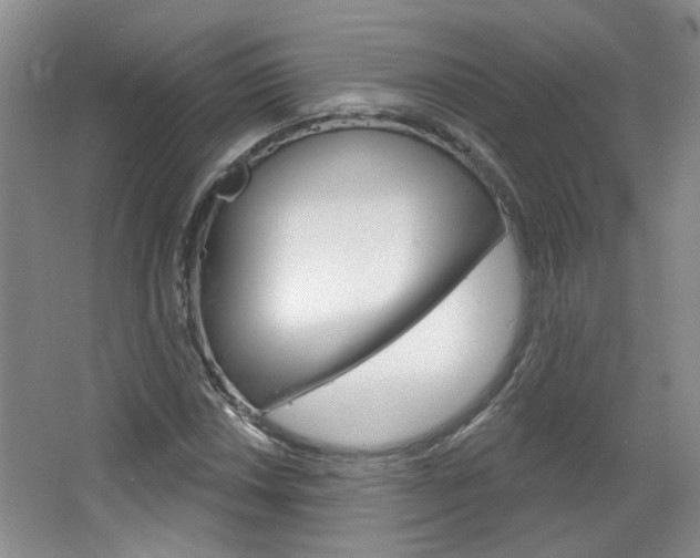 X0000064761018200602101022
