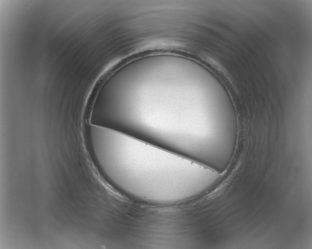 X0000064761029200602101022