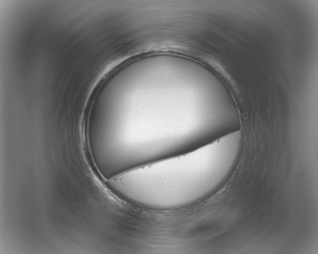 X0000064761032200602101022