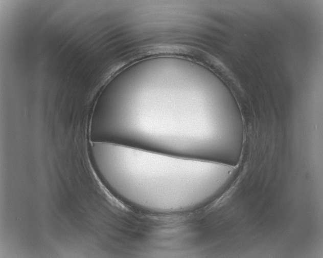 X0000064761033200602101022
