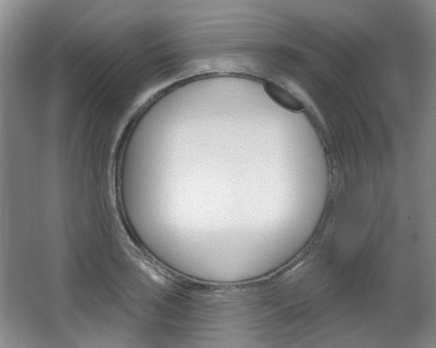 X0000064761035200602101022