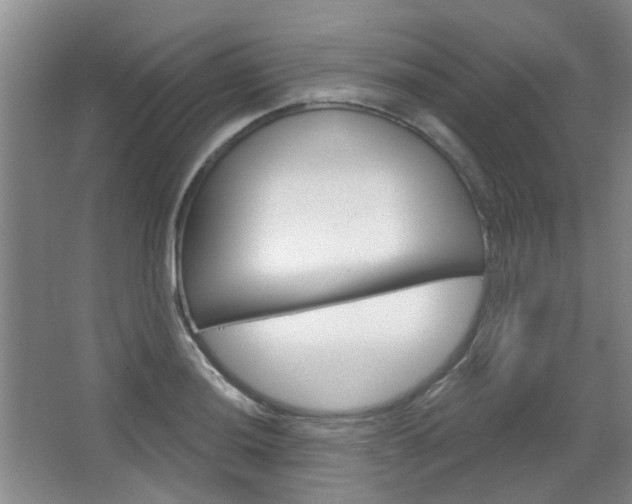 X0000064761036200602101022