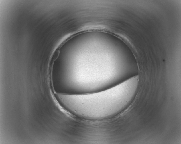 X0000064761038200602101022