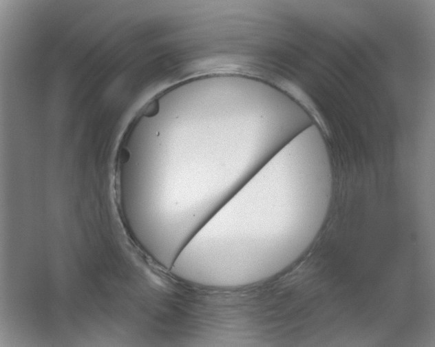X0000064761051200602101022