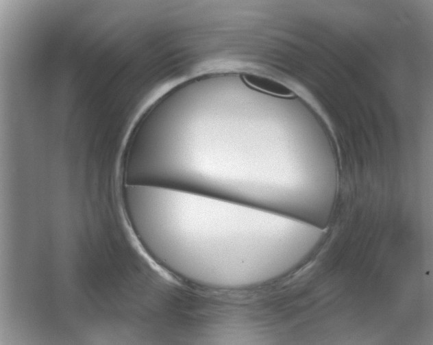 X0000064761053200602101022