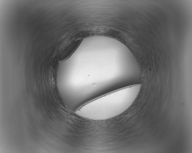 X0000064761058200602101022