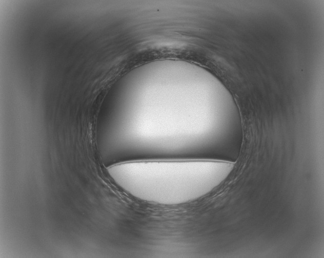 X0000064761061200602101022