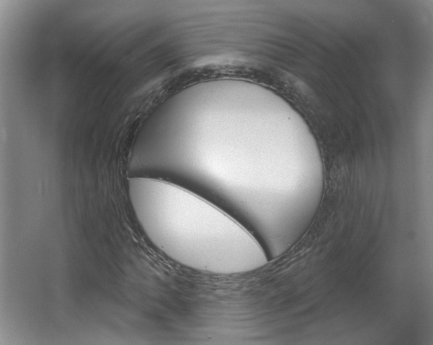 X0000064761062200602101022