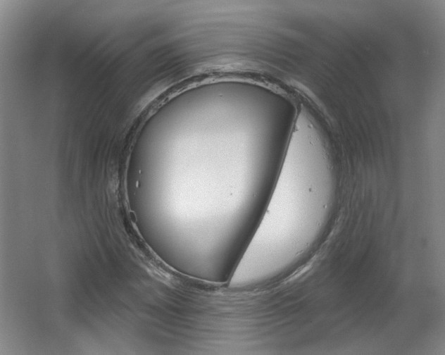 X0000064761065200602101022
