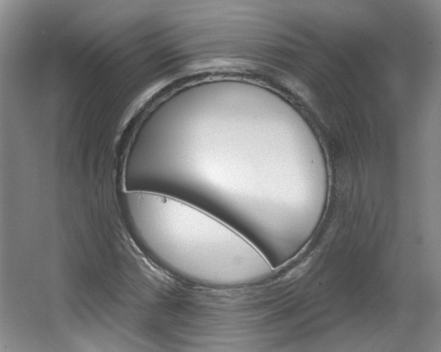 X0000064761066200602101022