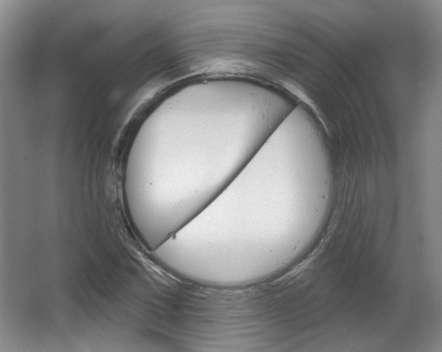X0000064761067200602101022