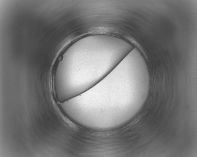 X0000064761083200602101021