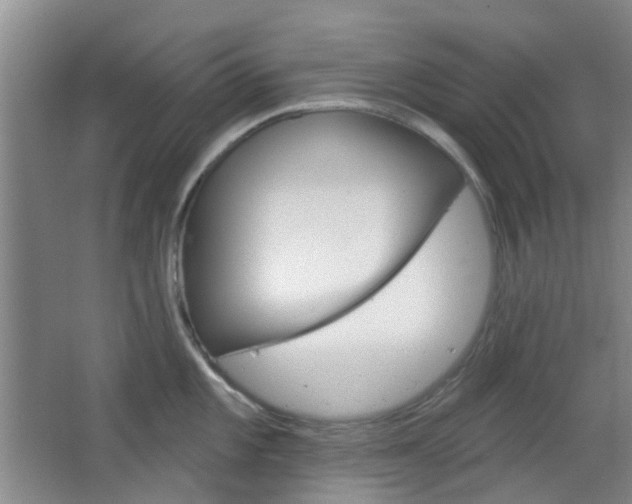 X0000064761101200602101021