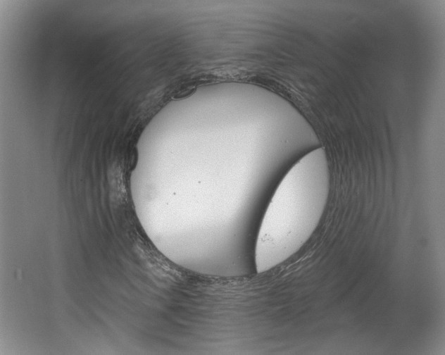X0000064761106200602101020