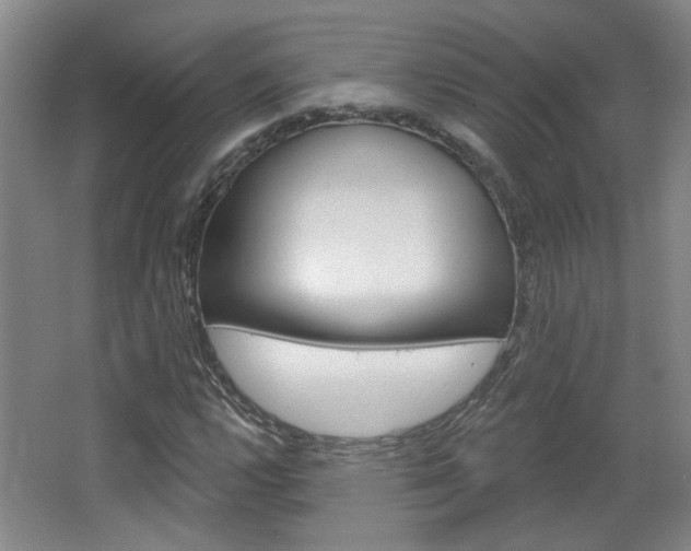 X0000064761112200602101020