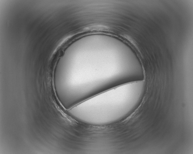 X0000064761115200602101020