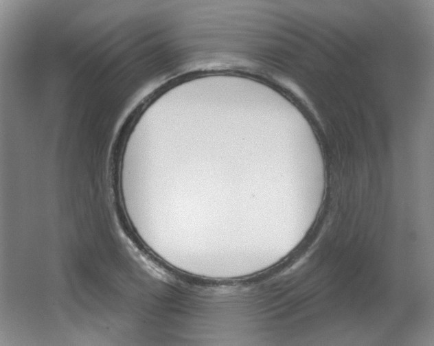 X0000064761122200602101020