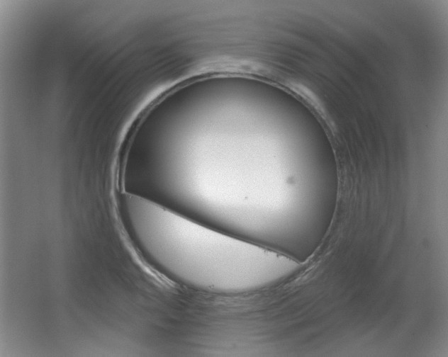 X0000064761128200602101021