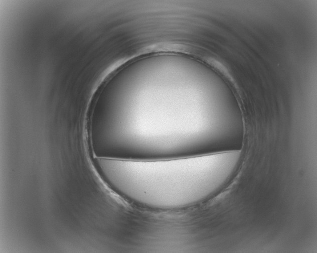 X0000064761133200602101021