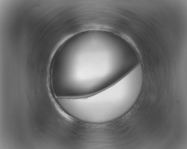 X0000064761136200602101021
