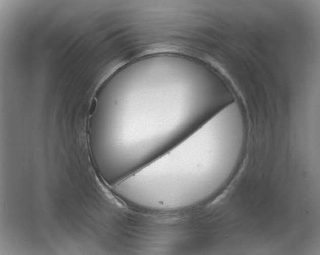 X0000064761137200602101021