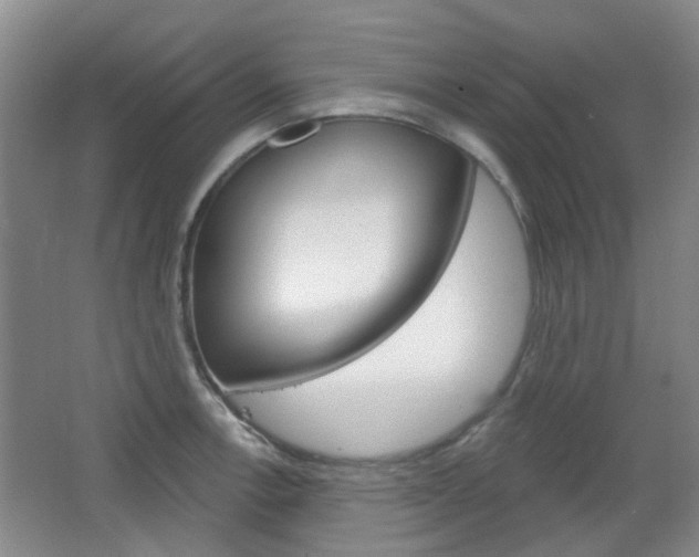 X0000064761138200602101021