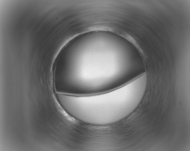 X0000064761140200602101021