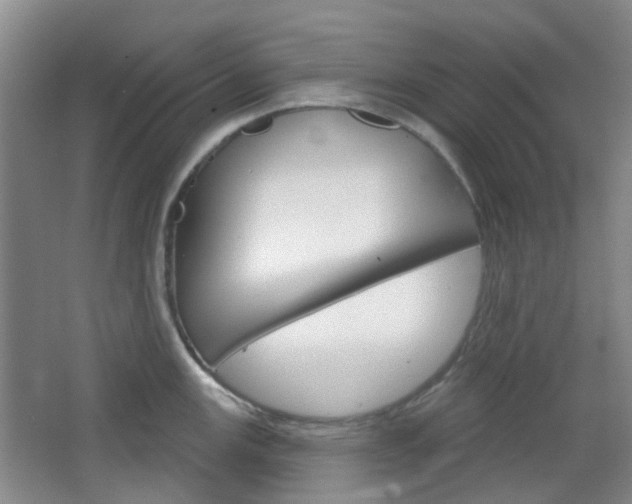 X0000064761147200602101021