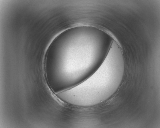 X0000064761148200602101021