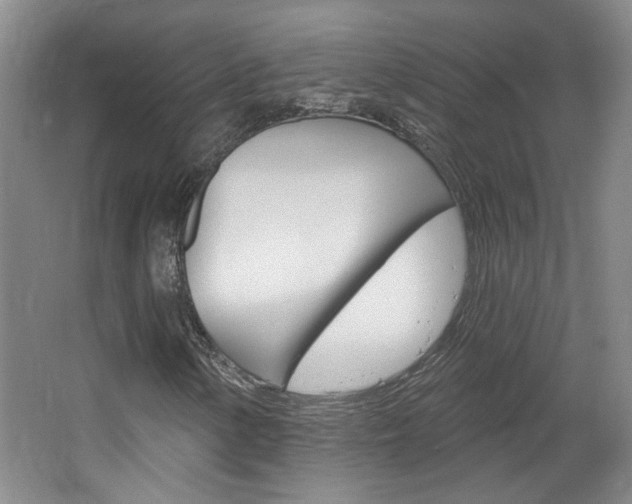 X0000064761154200602101020